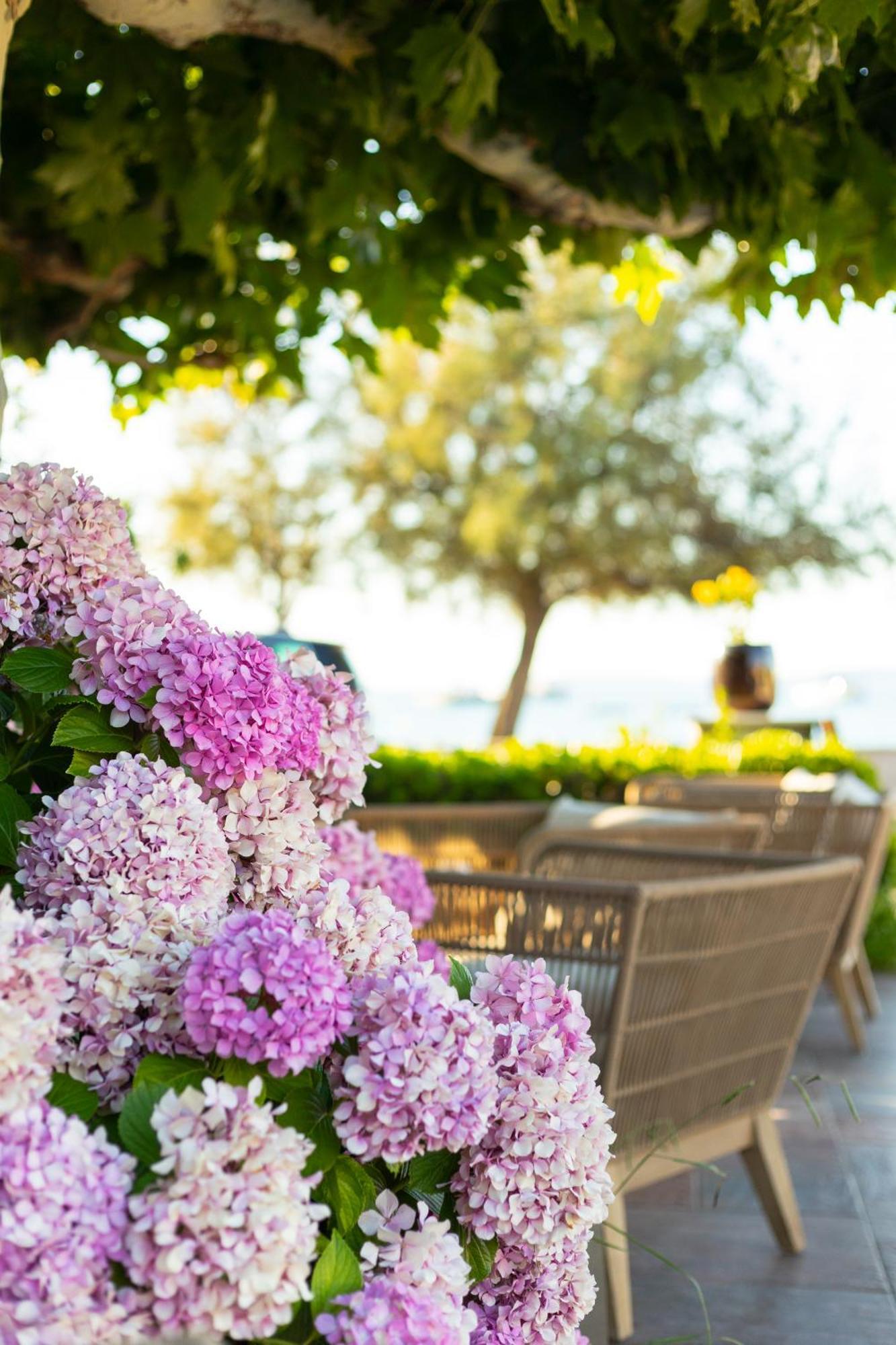 Hotel Mediterranee Le Lavandou Zewnętrze zdjęcie